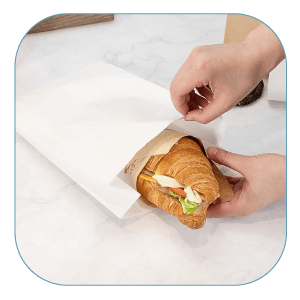Satchel Paper Bags