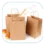 Twisted Handle Paper Bags
