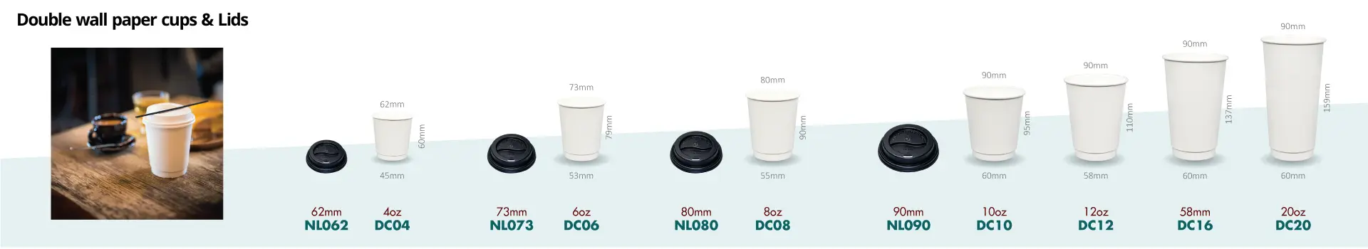 Double wall paper cups & Lids